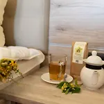 Kraeuterhotel Garni Zur Klostergrotte מלון Nohra (Weimar)