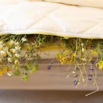Kraeuterhotel Garni Zur Klostergrotte 3*