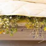 Kraeuterhotel Garni Zur Klostergrotte מלון Nohra (Weimar)