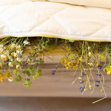 Kraeuterhotel Garni Zur Klostergrotte 3*