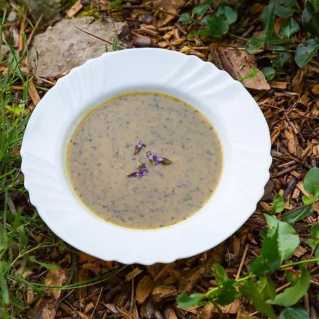 Kraeuterhotel Garni Zur Klostergrotte Hotel Nohra (Weimar)