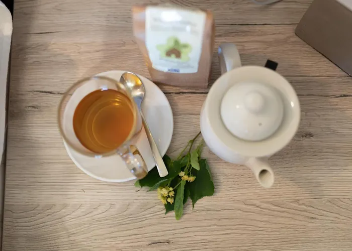 Otel Kraeuterhotel Garni Zur Klostergrotte Nohra (Weimar)