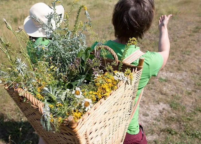 Otel Kraeuterhotel Garni Zur Klostergrotte