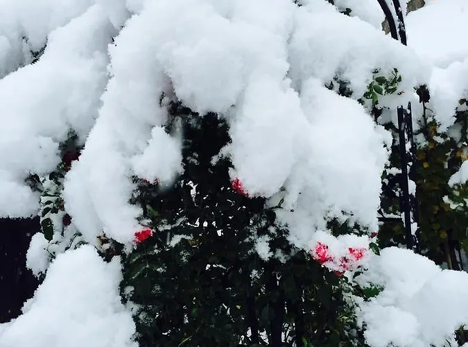 Otel Kraeuterhotel Garni Zur Klostergrotte