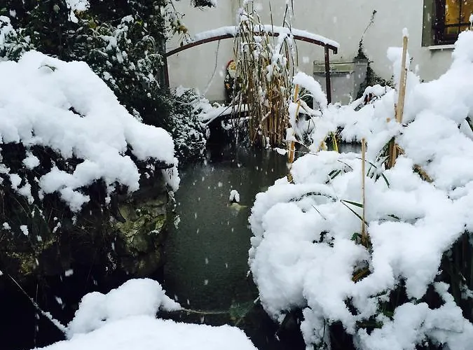 Kraeuterhotel Garni Zur Klostergrotte Otel 3*