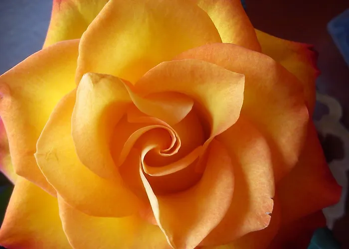 Kraeuterhotel Garni Zur Klostergrotte Otel