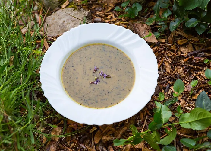 Kraeuterhotel Garni Zur Klostergrotte Otel Nohra (Weimar)