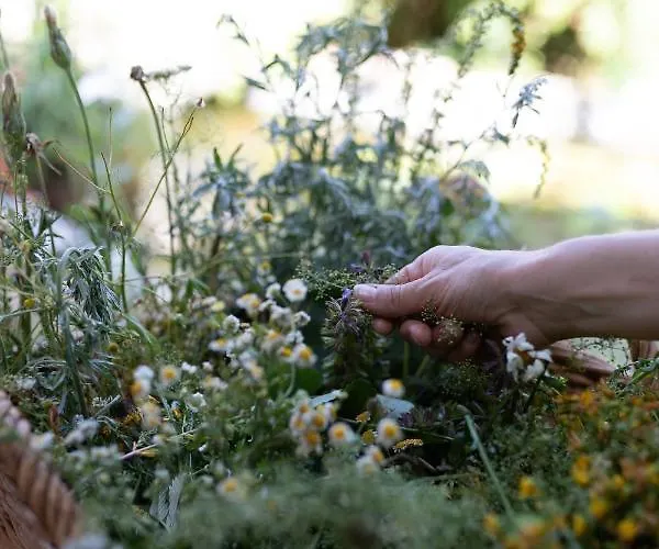 Kraeuterhotel Garni Zur Klostergrotte Nohra (Weimar)