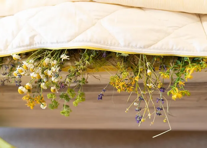 Kraeuterhotel Garni Zur Klostergrotte Otel Nohra (Weimar)